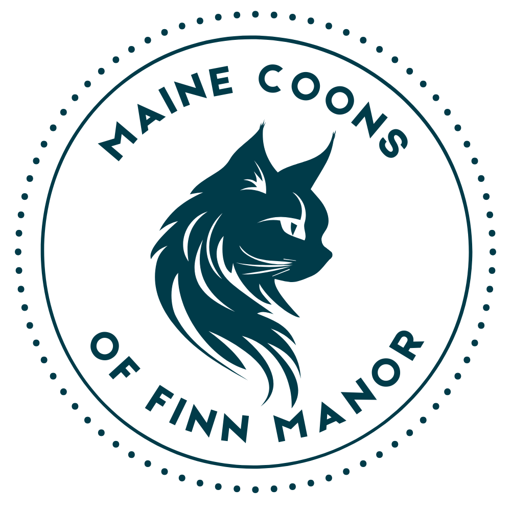 Maine Coons of Finn Manor